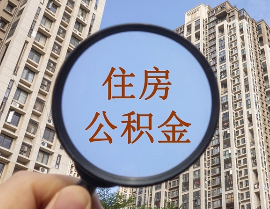 贺州退休后查不到公积金明细了吗（退休后公积金查询不到原因）